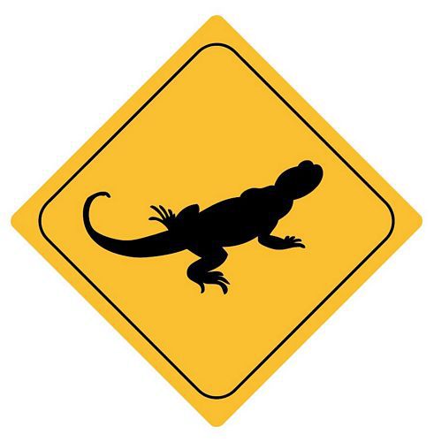 Aufkleber Sticker Achtung Eidechse Lizard Gecko Autoaufkleber